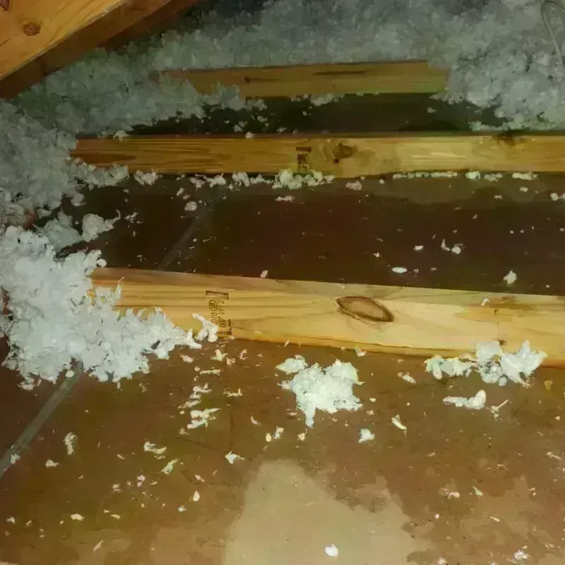 Attic Water Damage in Columbia County, GA