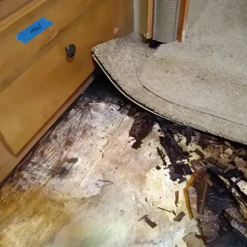 Wood Floor Water Damage in Columbia County, GA